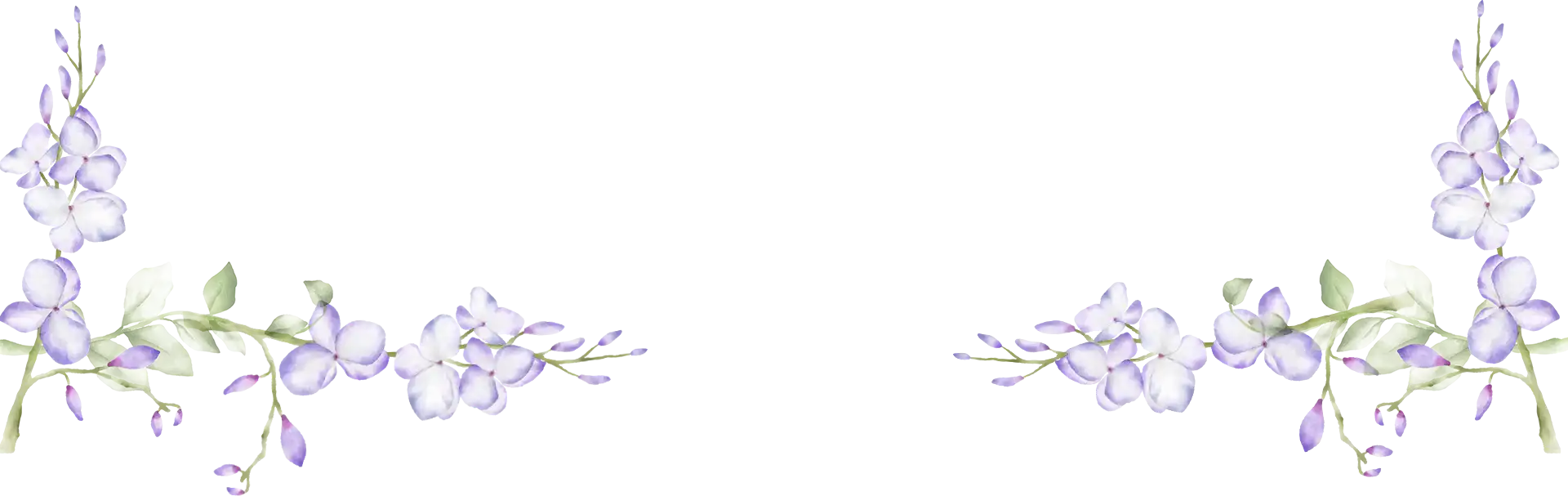 FLORES-BAIXA.webp